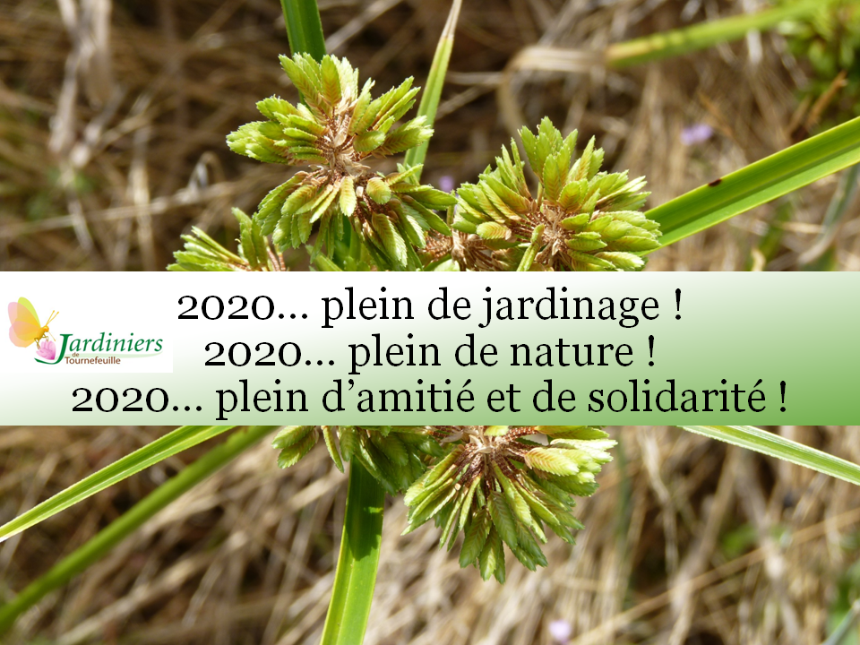 Bonne année2020