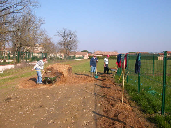 Paillage de la haie en février 2005