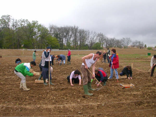 Tout le monde plante malgré le terre dure