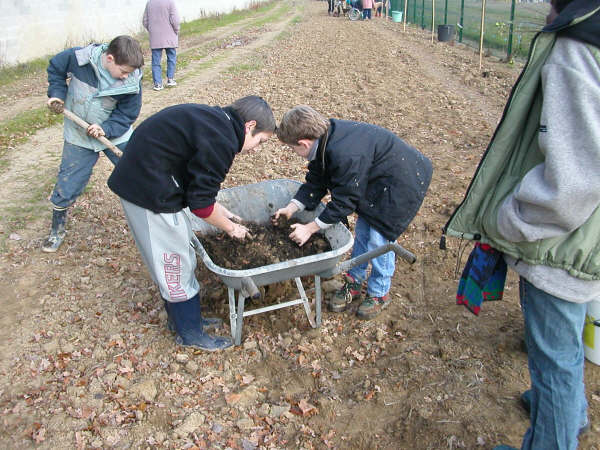 Même les enfants participent à la plantation