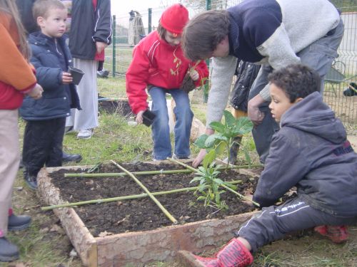 Ils réalisent un jardin en carré