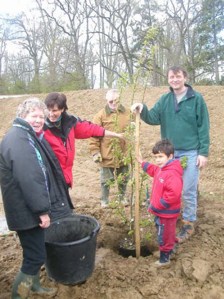 Plantation de l'arbre "AJT" 