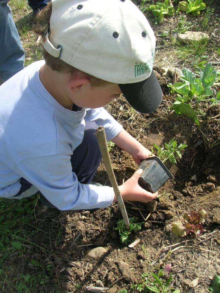 Jardinage avec les enfants