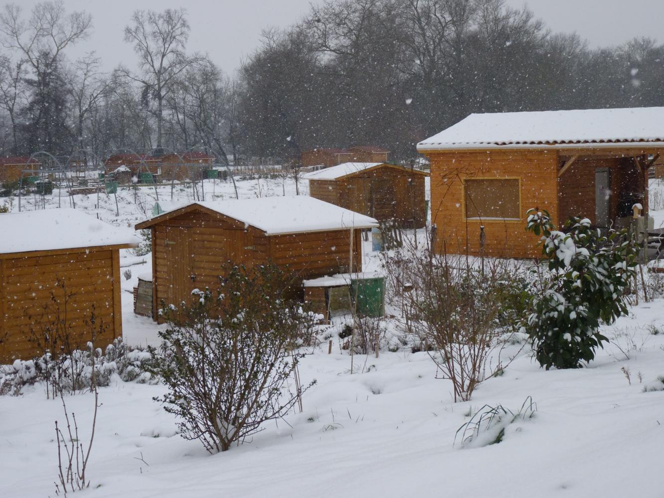 Jardins familiaux sous la neige