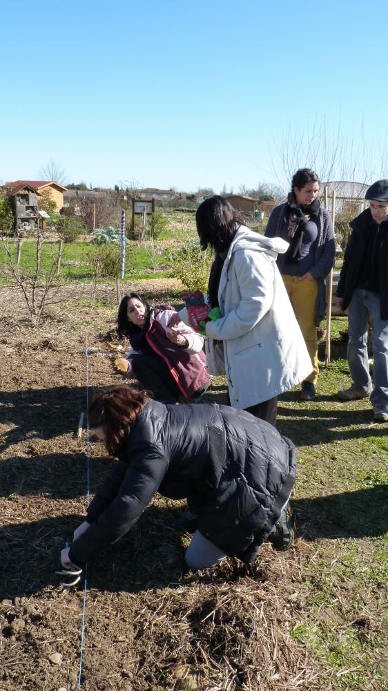 cours de jardinage : alternance de théorie et ... de pratique