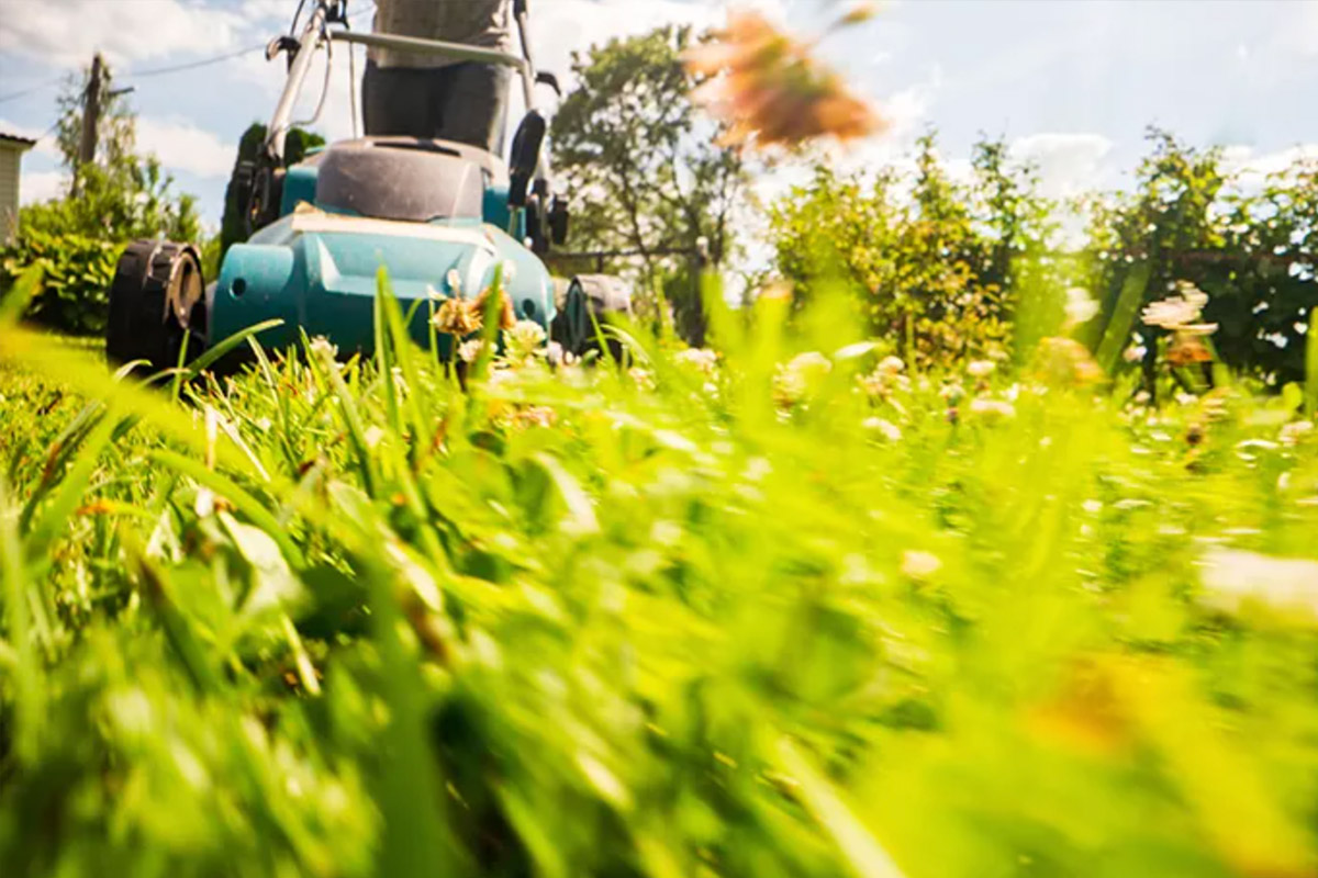 Solutions naturelles pour le jardin Solutions naturelles pour le jardin