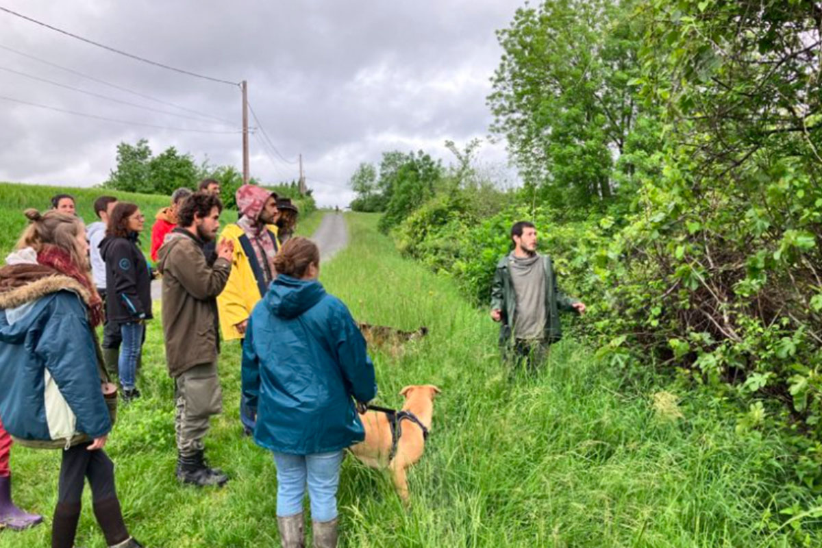 Visite fôret jardin Groupe visitant une forêt