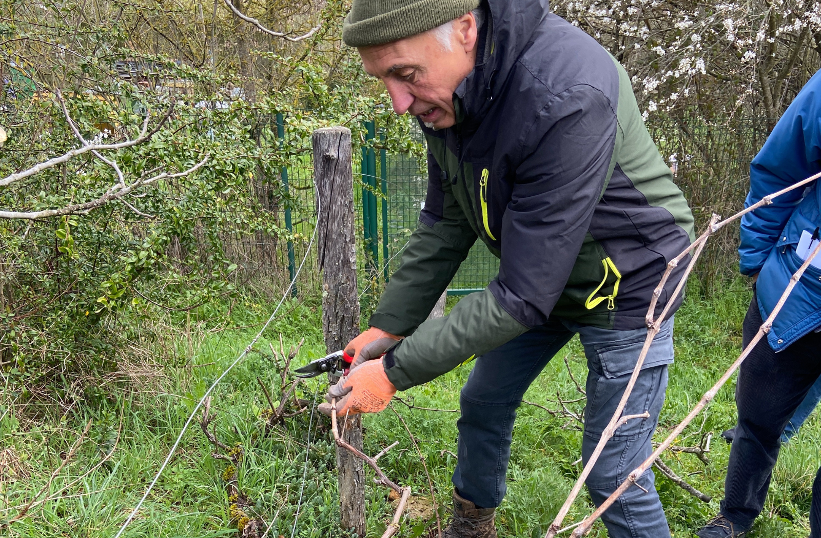Atelier : Comment anticiper le redémarrage de son jardin après l’hiver ?
