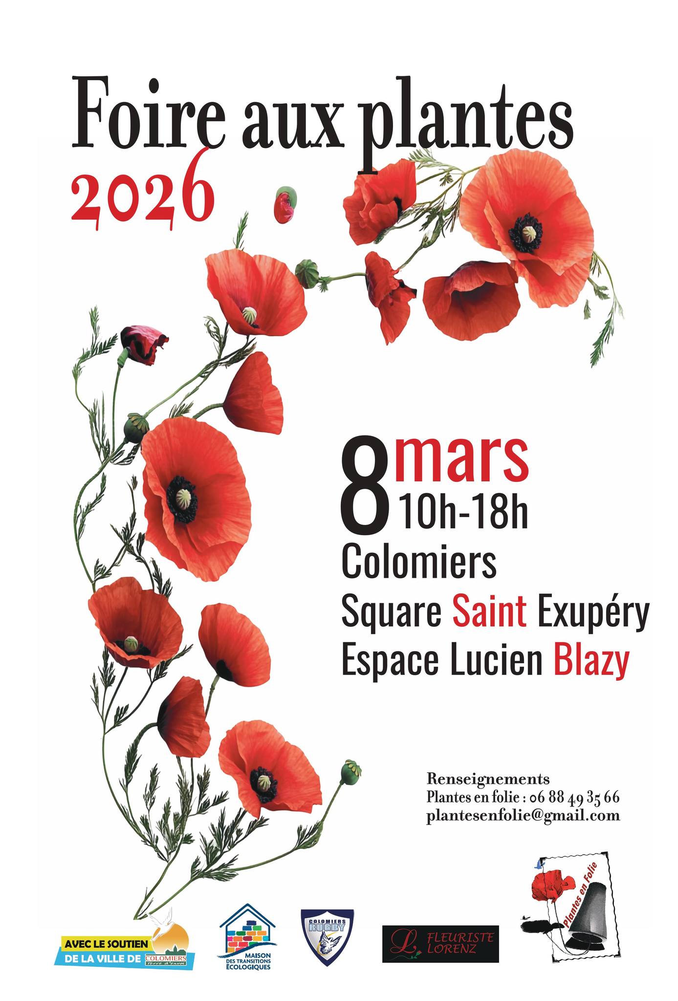 Plantes en folies- Colomiers  