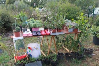 Vide jardin 2024 Vide jardin 2024