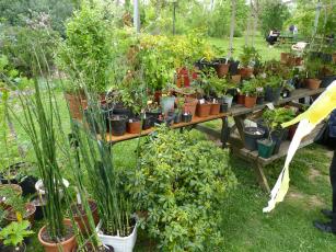 Troc'Plantes 2025