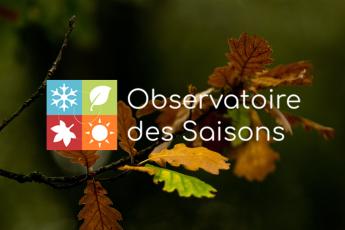 Observatoire des saisons