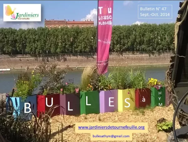 Bulles à thym