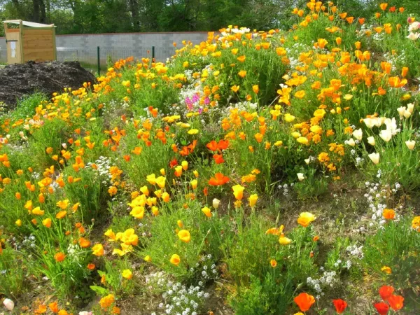 Jardinage naturel