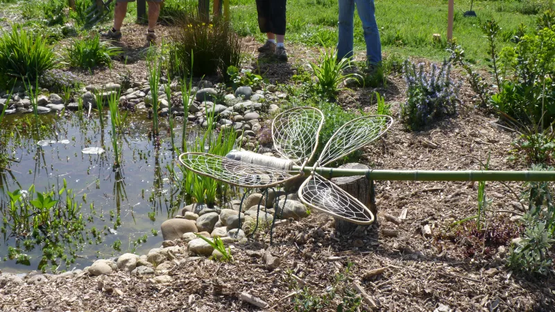 Plantations et petite mare