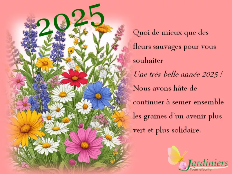 Voeux 2025