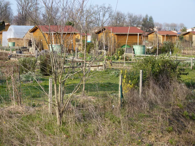 Jardins partagés