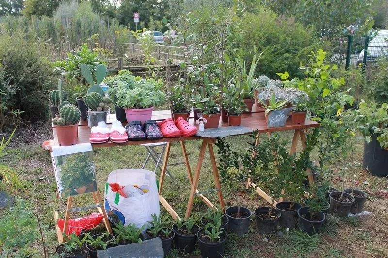 Vide jardin 2023