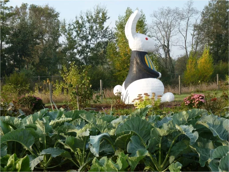 Lapin banc