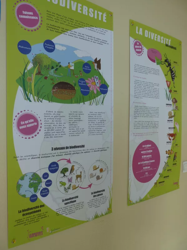 Exposition biodiversité en ville
