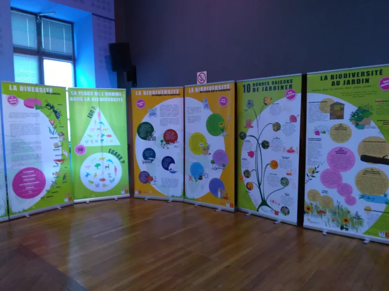 Nos expositions